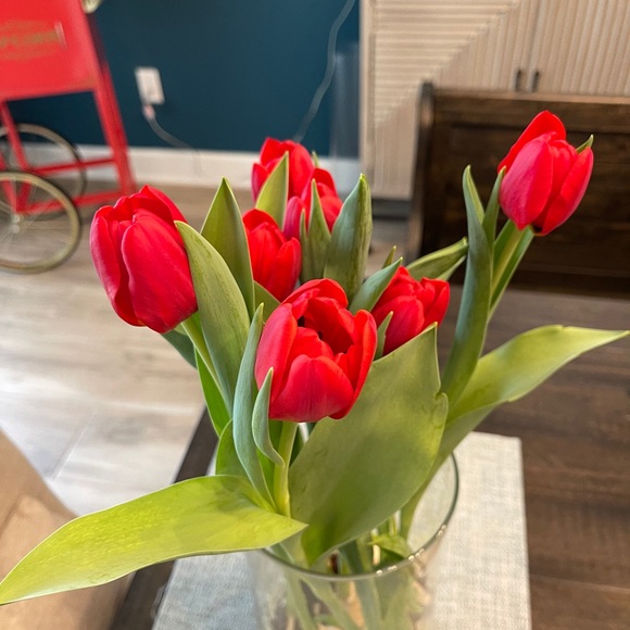 Meet your Posher, Cynthia - Picture 1 of 1